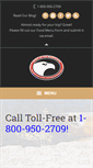 Mobile Screenshot of elycanoetrips.com